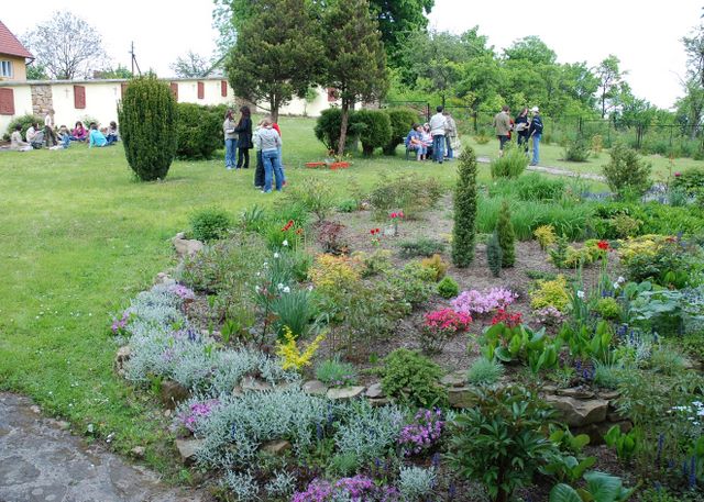 15v2008_70.jpg (large)
