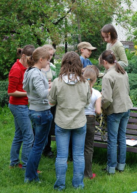 15v2008_76.jpg (large)